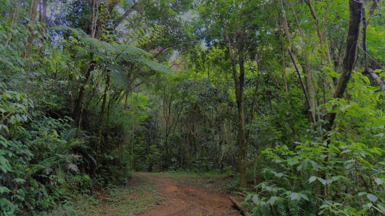 Pousada Alpes Santo Antonio do Pinhal Ngoại thất bức ảnh